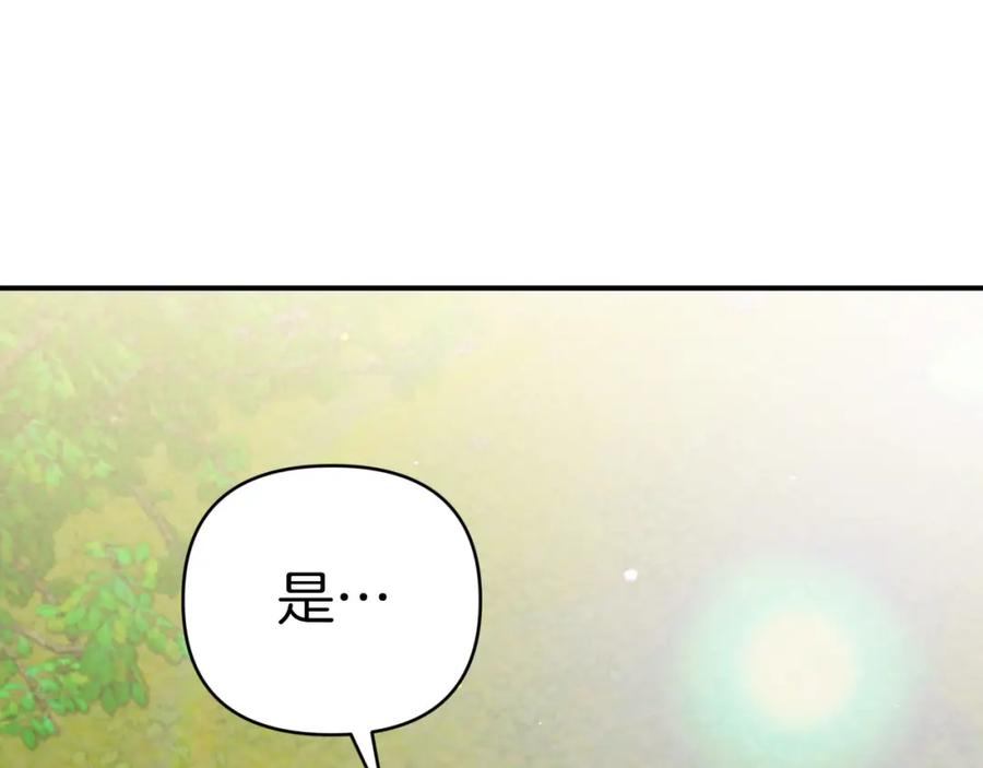《钻石小姐历险记》第24话 蒲公英群部落 第64页