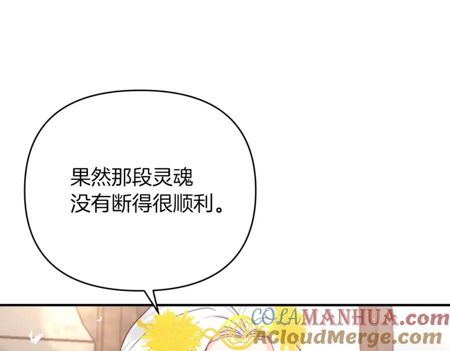 《钻石小姐历险记》第26话 同种族的交谈 第41页