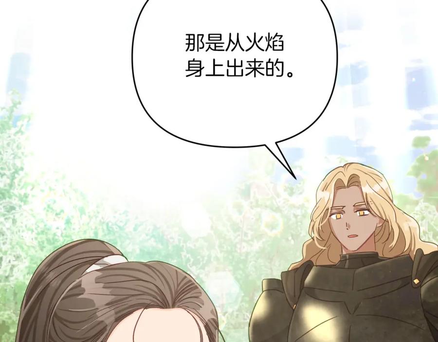 《钻石小姐历险记》第28话 被火焰吞噬的灵魂 第27页