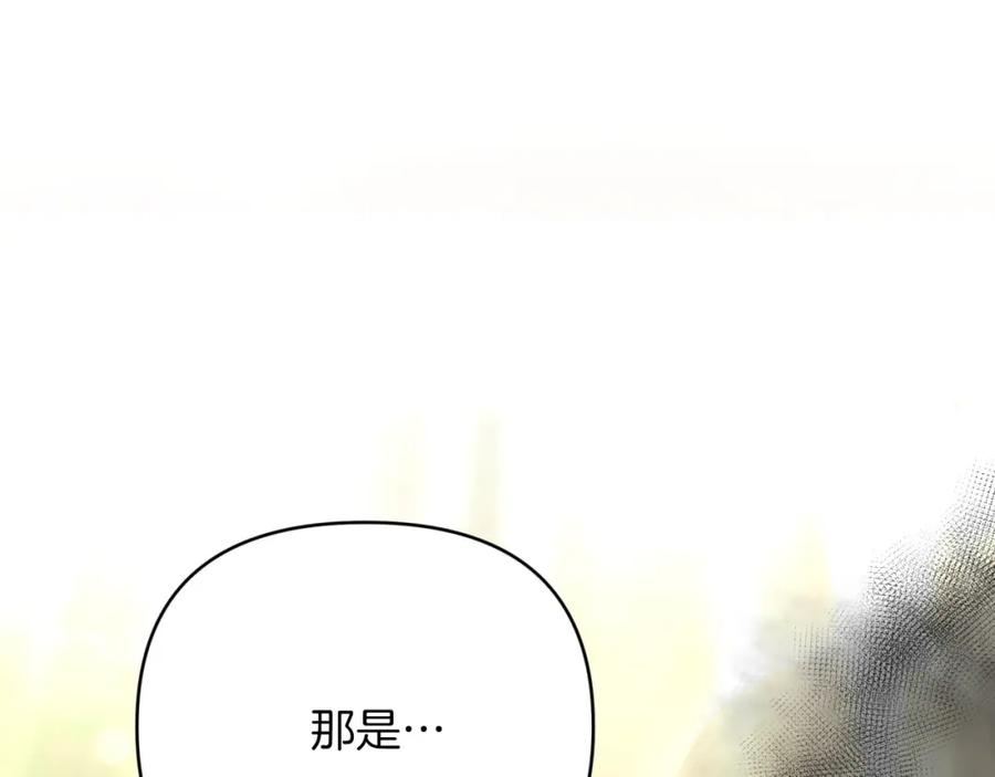 《钻石小姐历险记》第28话 被火焰吞噬的灵魂 第20页