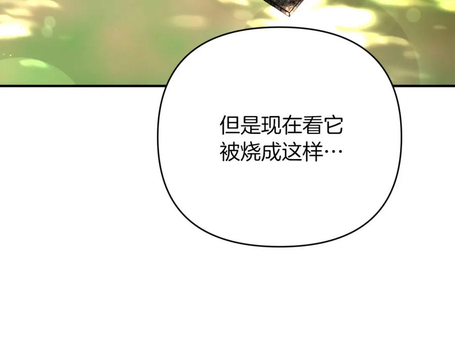 《钻石小姐历险记》第29话 另一位德鲁伊 第102页