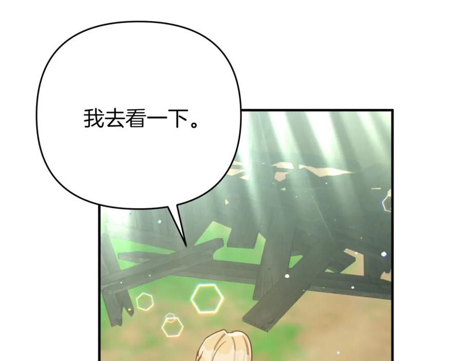 《钻石小姐历险记》第29话 另一位德鲁伊 第88页