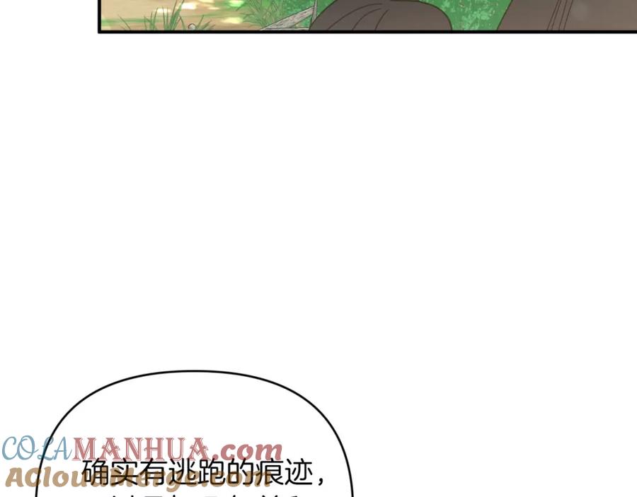 《钻石小姐历险记》第29话 另一位德鲁伊 第121页