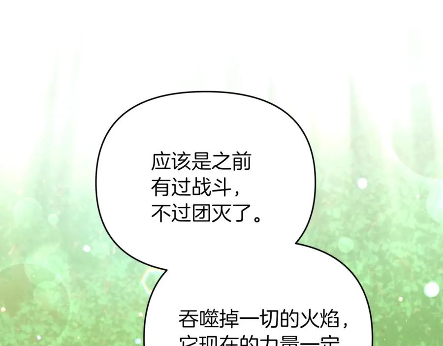 《钻石小姐历险记》第29话 另一位德鲁伊 第103页