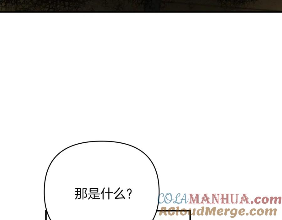 《钻石小姐历险记》第29话 另一位德鲁伊 第85页