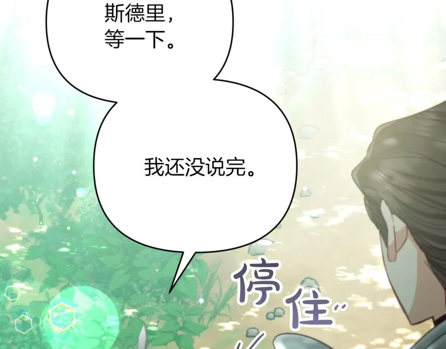 《钻石小姐历险记》第29话 另一位德鲁伊 第168页