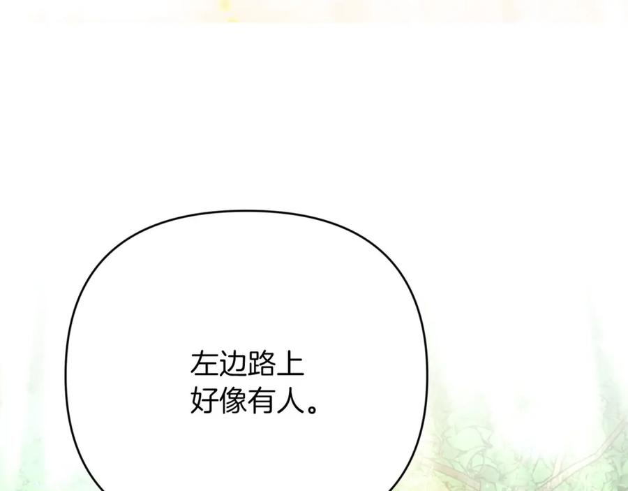《钻石小姐历险记》第29话 另一位德鲁伊 第116页