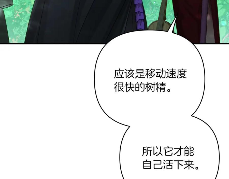 《钻石小姐历险记》第29话 另一位德鲁伊 第124页