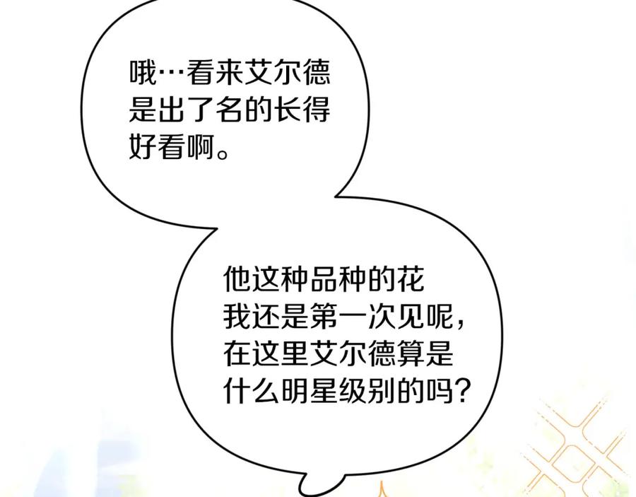 《钻石小姐历险记》第30话 树精养大的德鲁伊 第8页