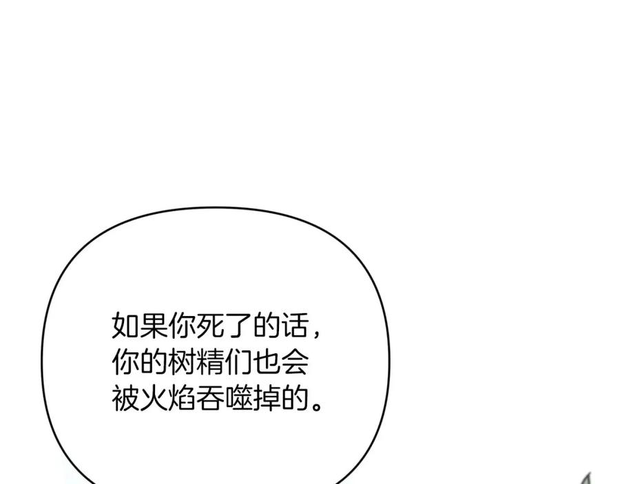 《钻石小姐历险记》第30话 树精养大的德鲁伊 第62页