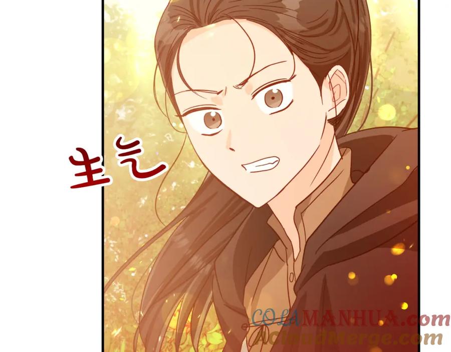 《钻石小姐历险记》第30话 树精养大的德鲁伊 第167页