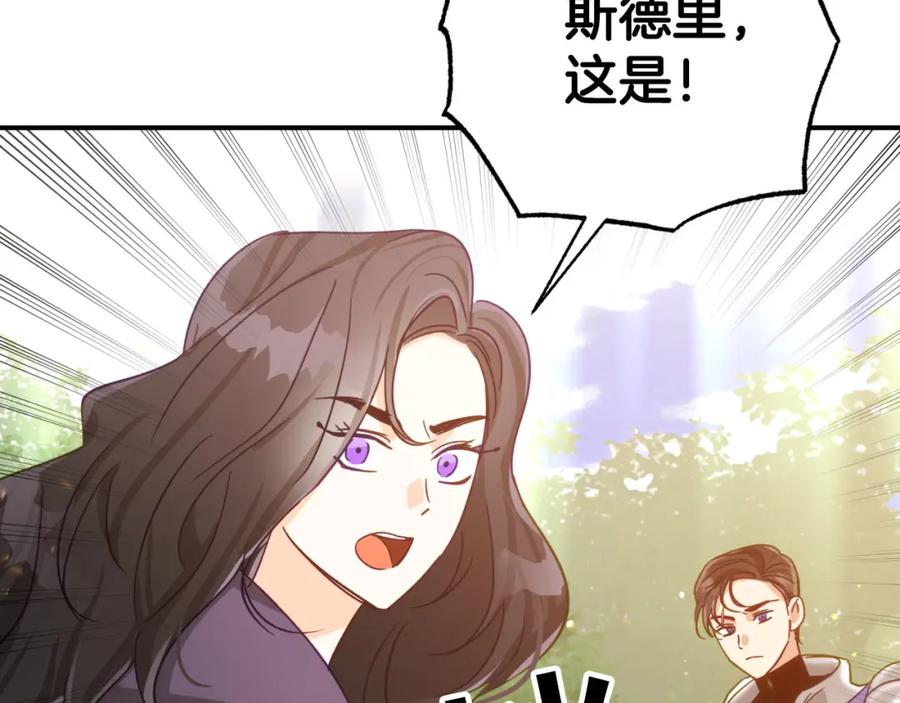 《钻石小姐历险记》第30话 树精养大的德鲁伊 第146页