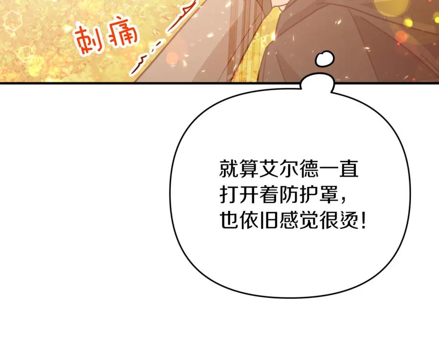 《钻石小姐历险记》第30话 树精养大的德鲁伊 第161页