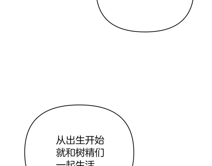 《钻石小姐历险记》第30话 树精养大的德鲁伊 第16页
