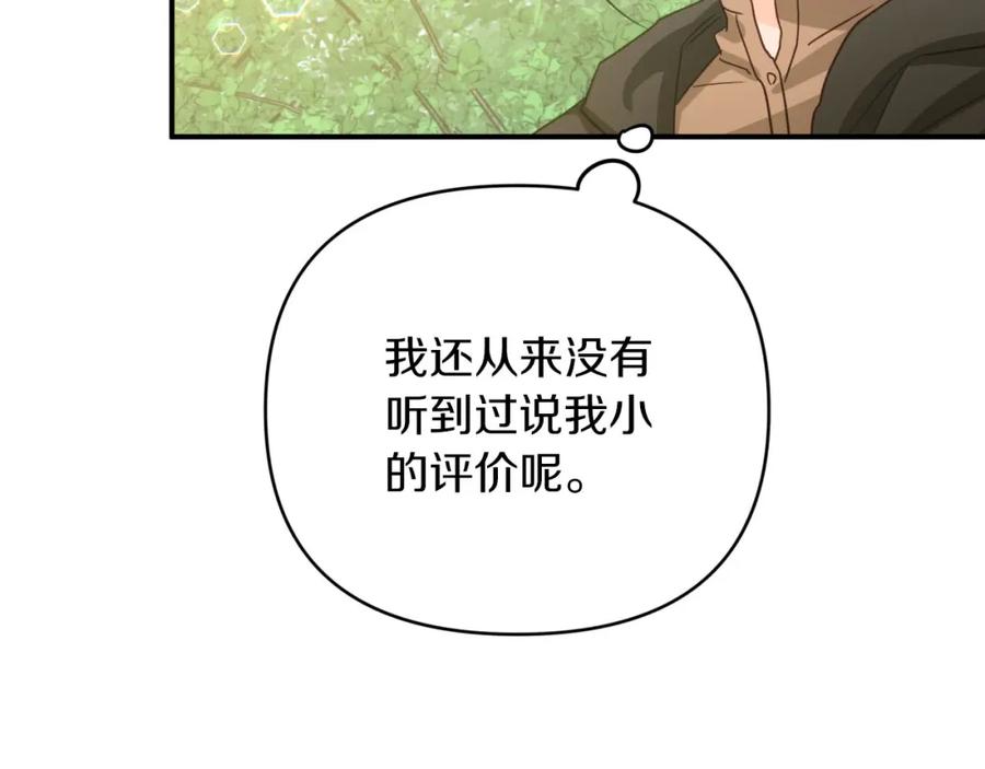 《钻石小姐历险记》第30话 树精养大的德鲁伊 第44页