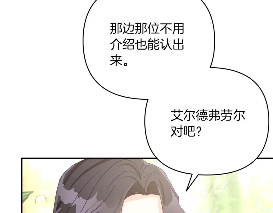 《钻石小姐历险记》第30话 树精养大的德鲁伊 第5页