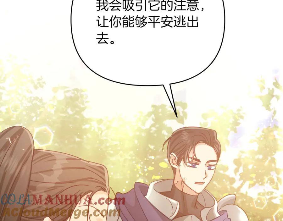 《钻石小姐历险记》第30话 树精养大的德鲁伊 第163页
