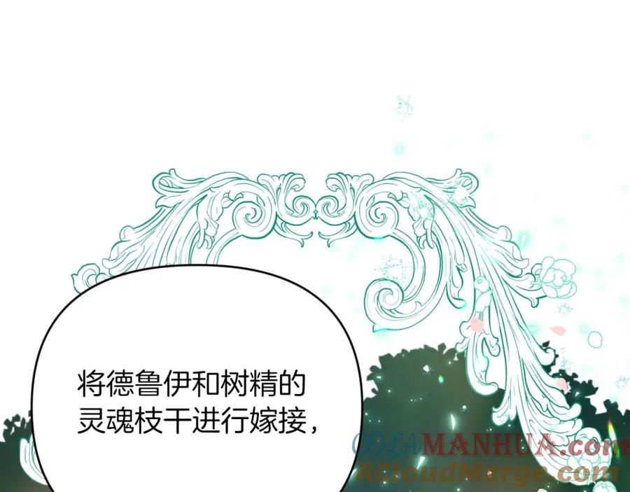 《钻石小姐历险记》第32话 大佬的连携攻击 第177页