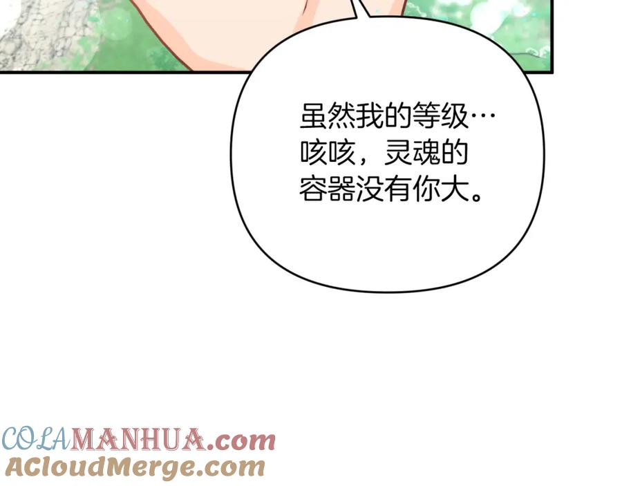 《钻石小姐历险记》第34话 钻石雨 第117页