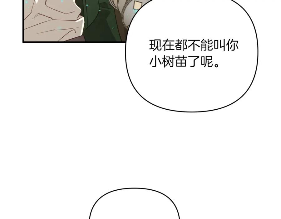 《钻石小姐历险记》第34话 钻石雨 第47页