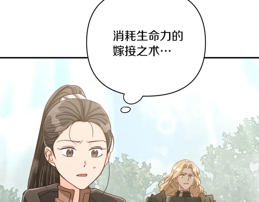 《钻石小姐历险记》第35话 稻草人 第175页