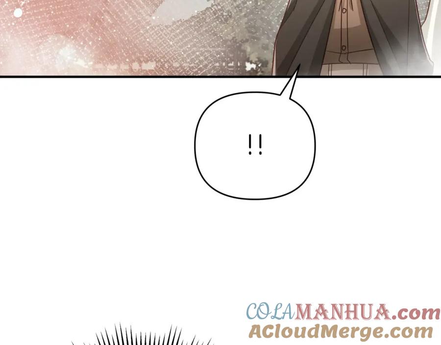 《钻石小姐历险记》第35话 稻草人 第149页