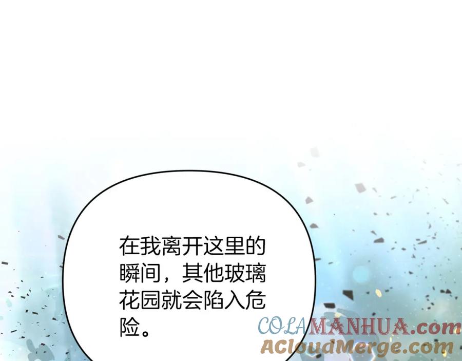 《钻石小姐历险记》第35话 稻草人 第165页