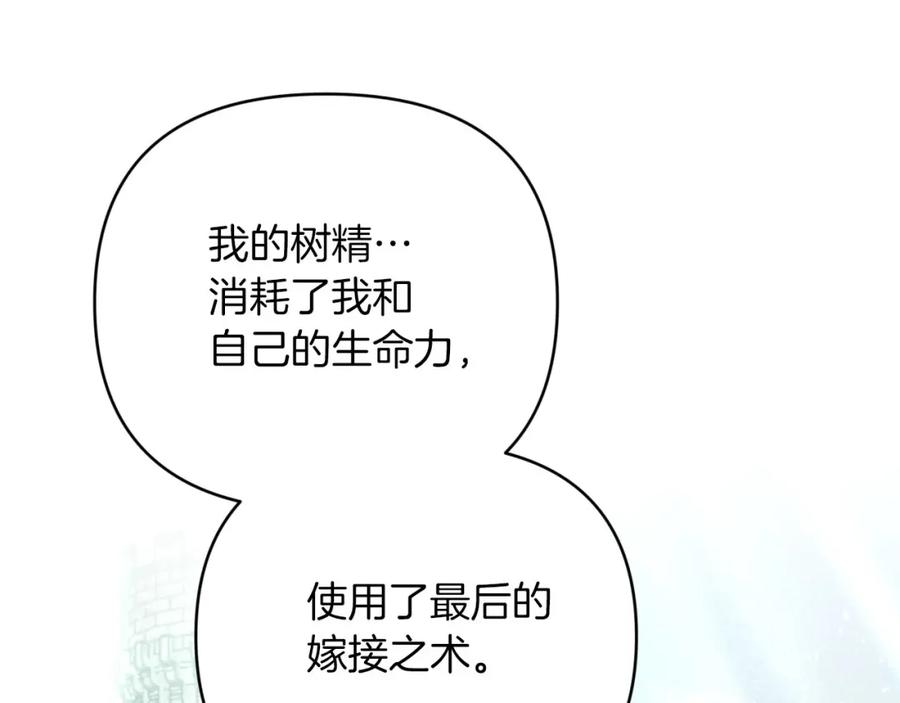 《钻石小姐历险记》第35话 稻草人 第171页