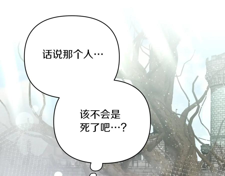 《钻石小姐历险记》第35话 稻草人 第112页