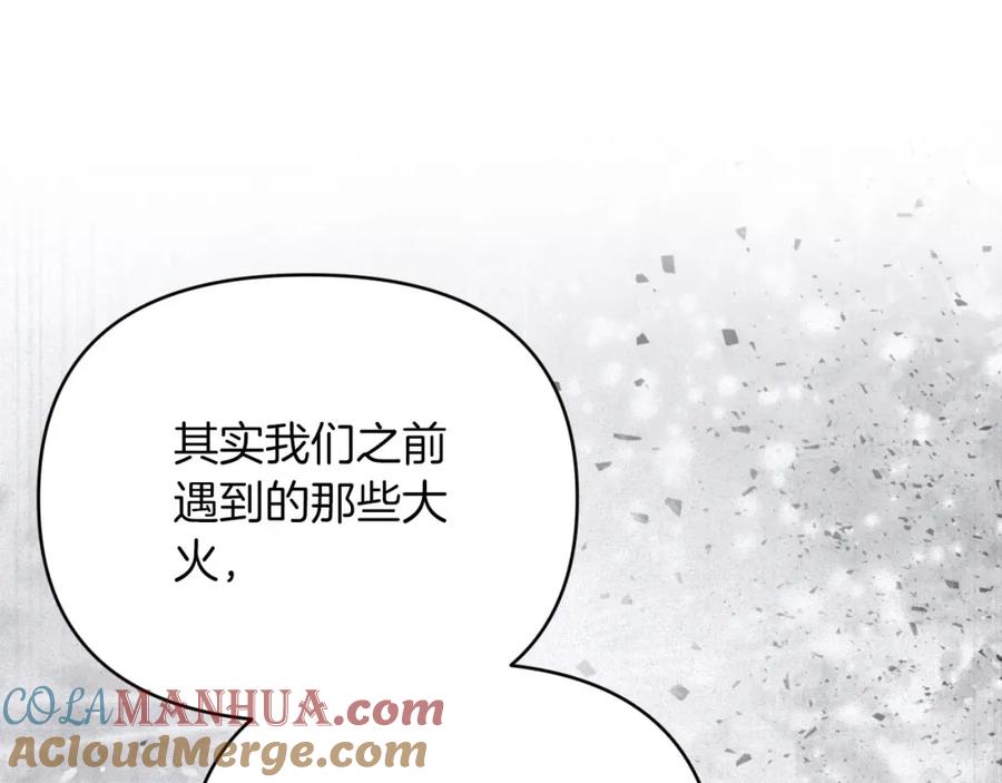 《钻石小姐历险记》第35话 稻草人 第29页