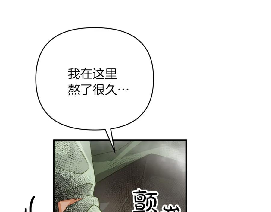 《钻石小姐历险记》第35话 稻草人 第152页