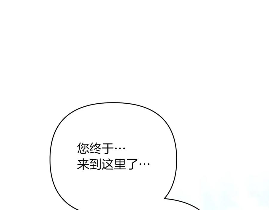 《钻石小姐历险记》第35话 稻草人 第138页