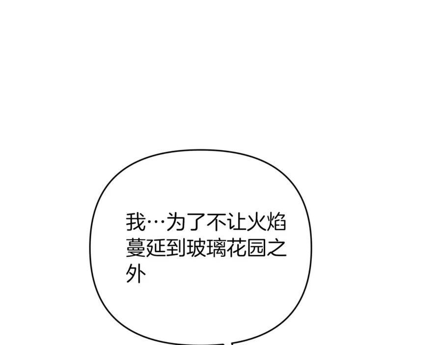 《钻石小姐历险记》第35话 稻草人 第162页