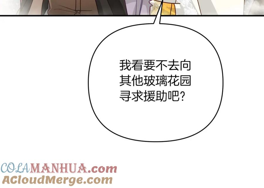 《钻石小姐历险记》第35话 稻草人 第201页