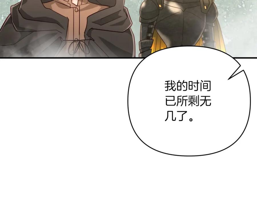 《钻石小姐历险记》第35话 稻草人 第176页