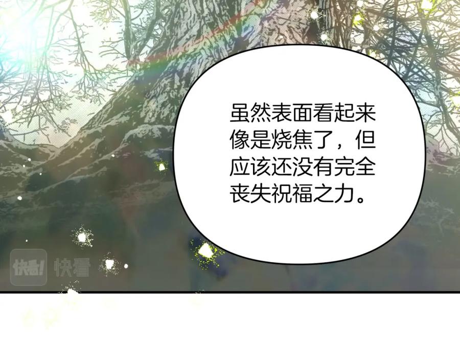 《钻石小姐历险记》第36话 钻石的味道 第131页