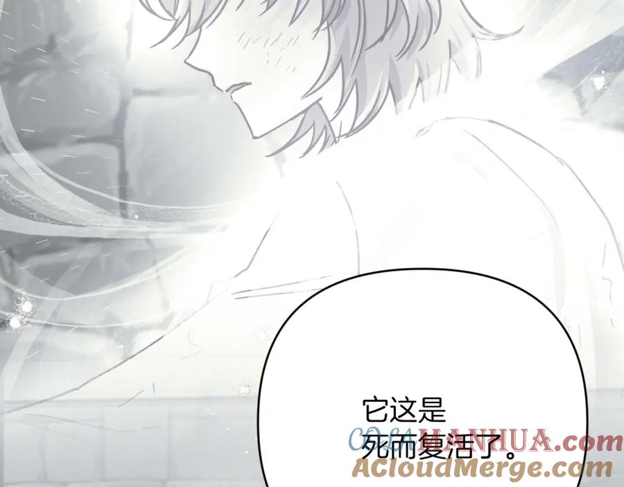 《钻石小姐历险记》第37话 另一个黛西树精 第65页