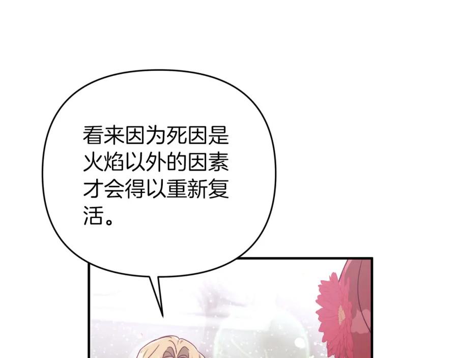 《钻石小姐历险记》第37话 另一个黛西树精 第132页