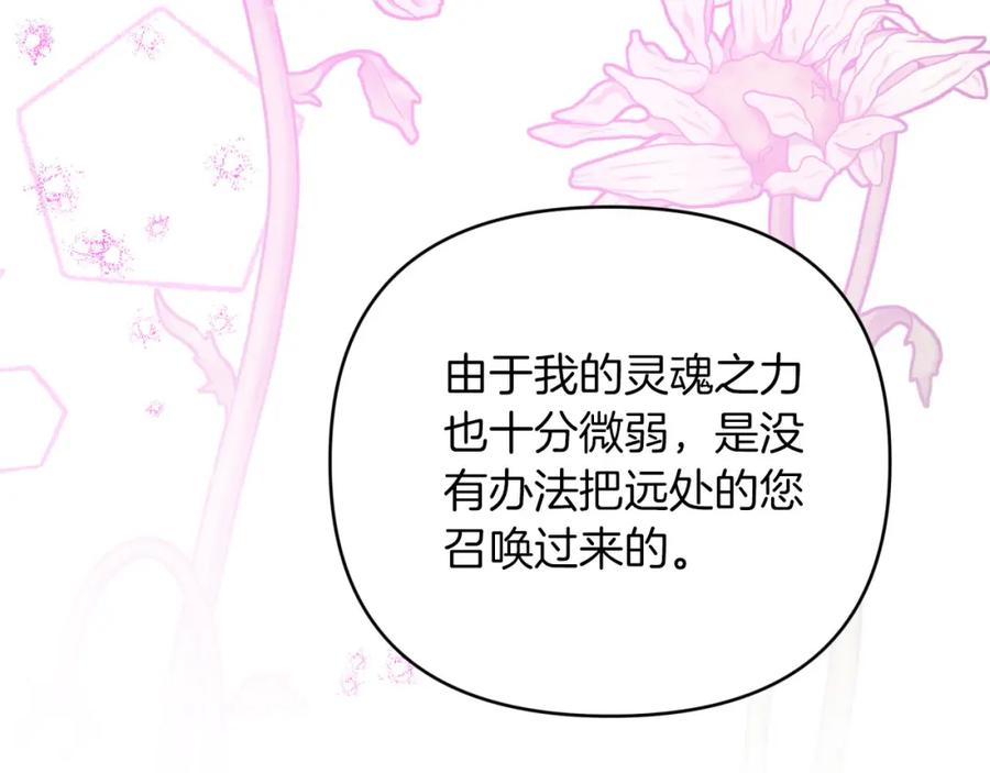 《钻石小姐历险记》第37话 另一个黛西树精 第114页