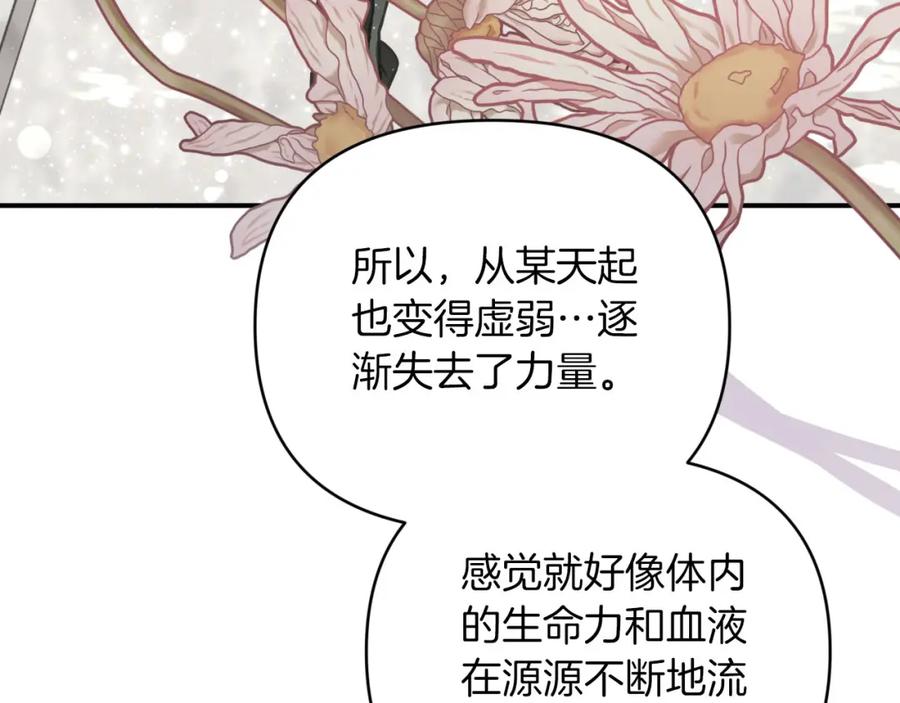《钻石小姐历险记》第37话 另一个黛西树精 第164页