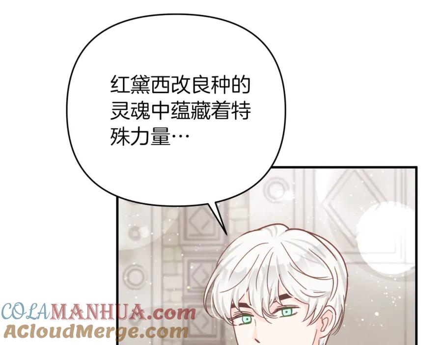 《钻石小姐历险记》第37话 另一个黛西树精 第61页