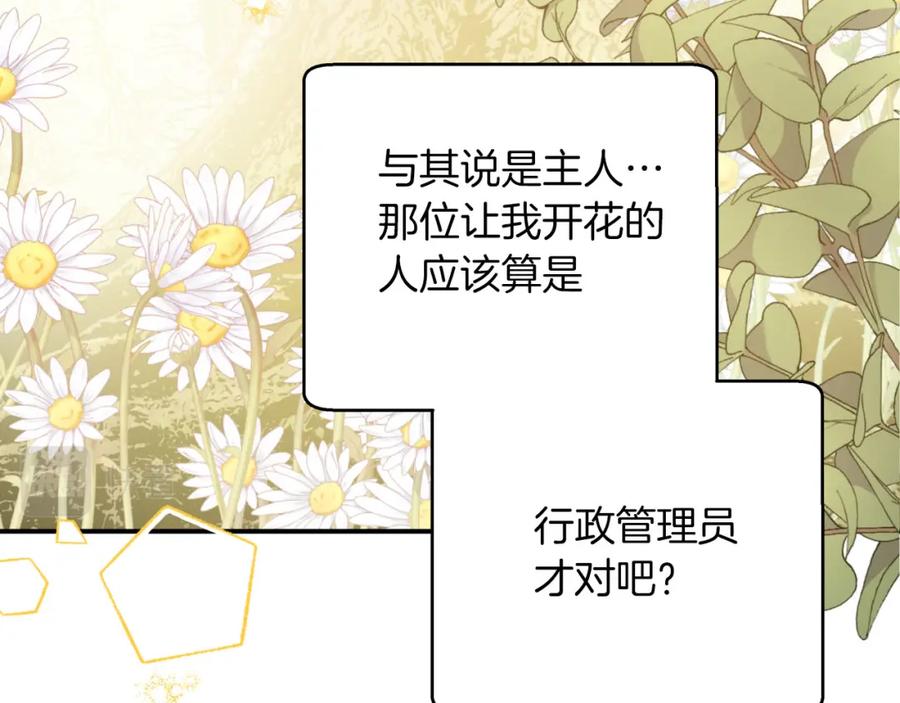 《钻石小姐历险记》第37话 另一个黛西树精 第127页