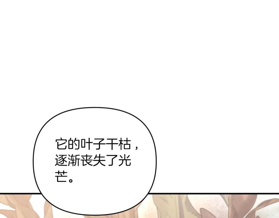 《钻石小姐历险记》第37话 另一个黛西树精 第148页