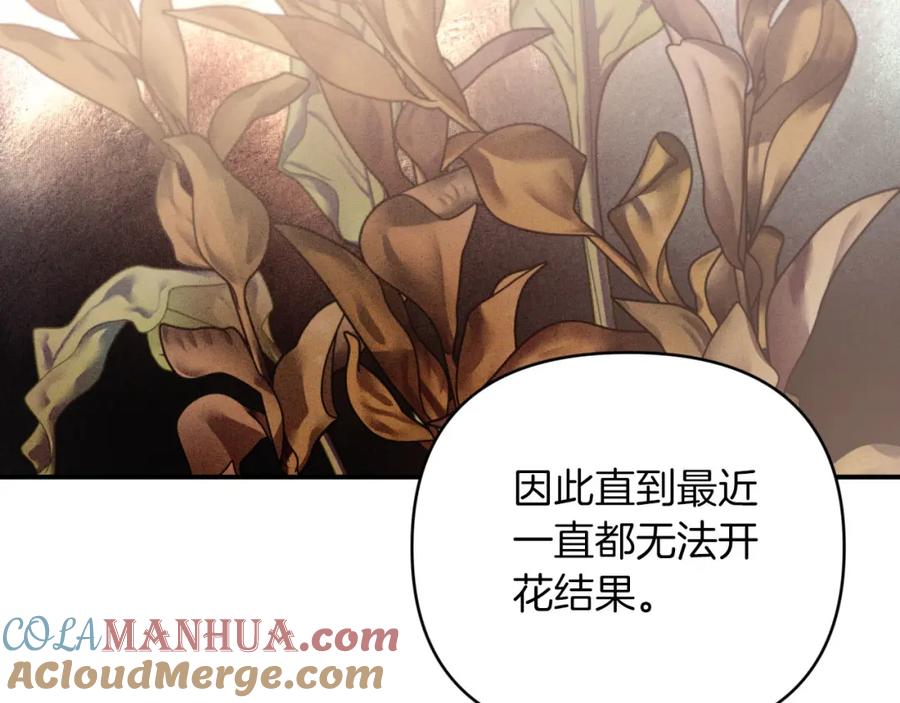 《钻石小姐历险记》第37话 另一个黛西树精 第149页