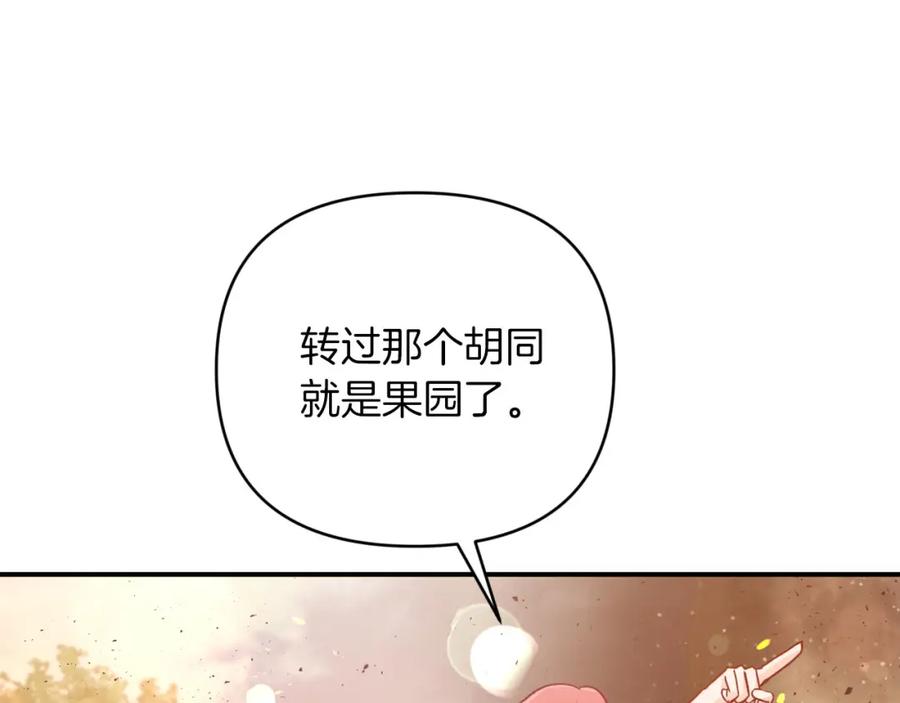 《钻石小姐历险记》第38话 事件的源头 第31页