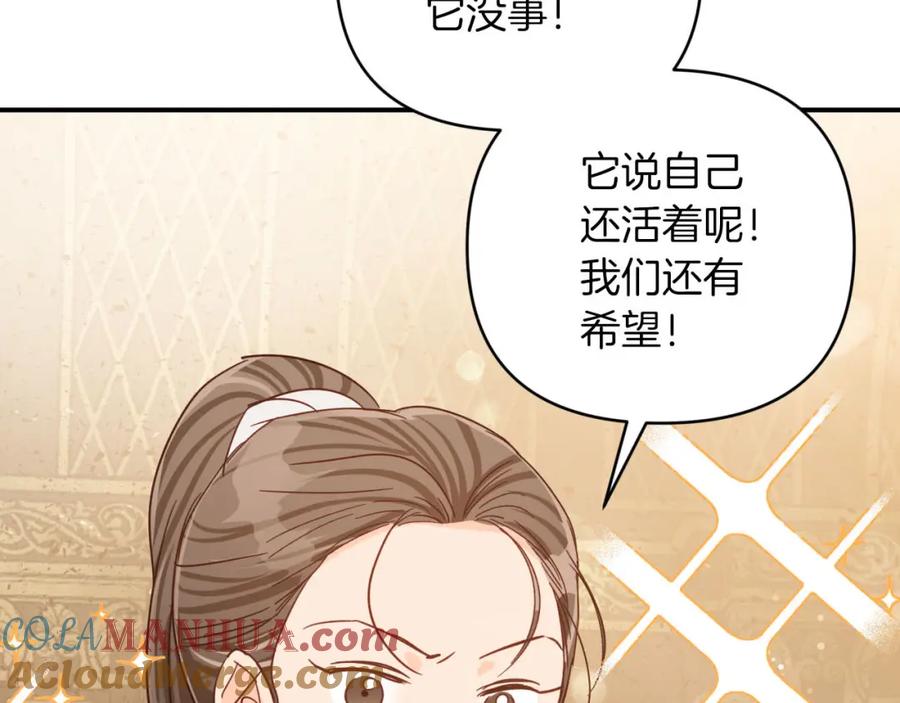《钻石小姐历险记》第39话 世界之树的复活条件 第5页