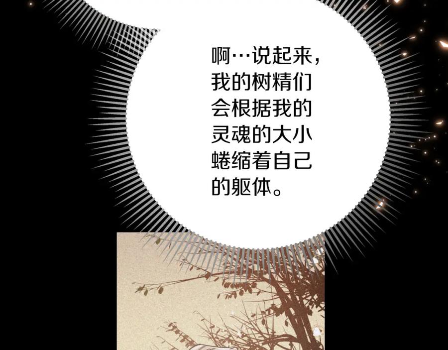 《钻石小姐历险记》第39话 世界之树的复活条件 第216页