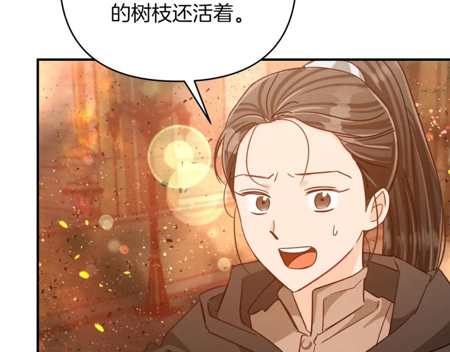 《钻石小姐历险记》第39话 世界之树的复活条件 第51页