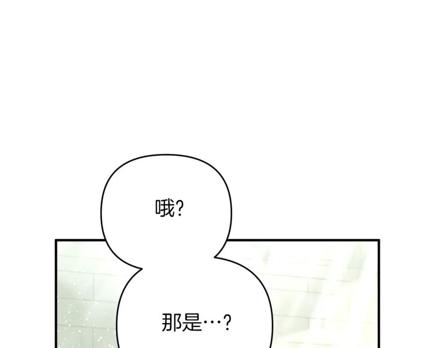 《钻石小姐历险记》第一季完结篇 新任务 新旅程 第134页