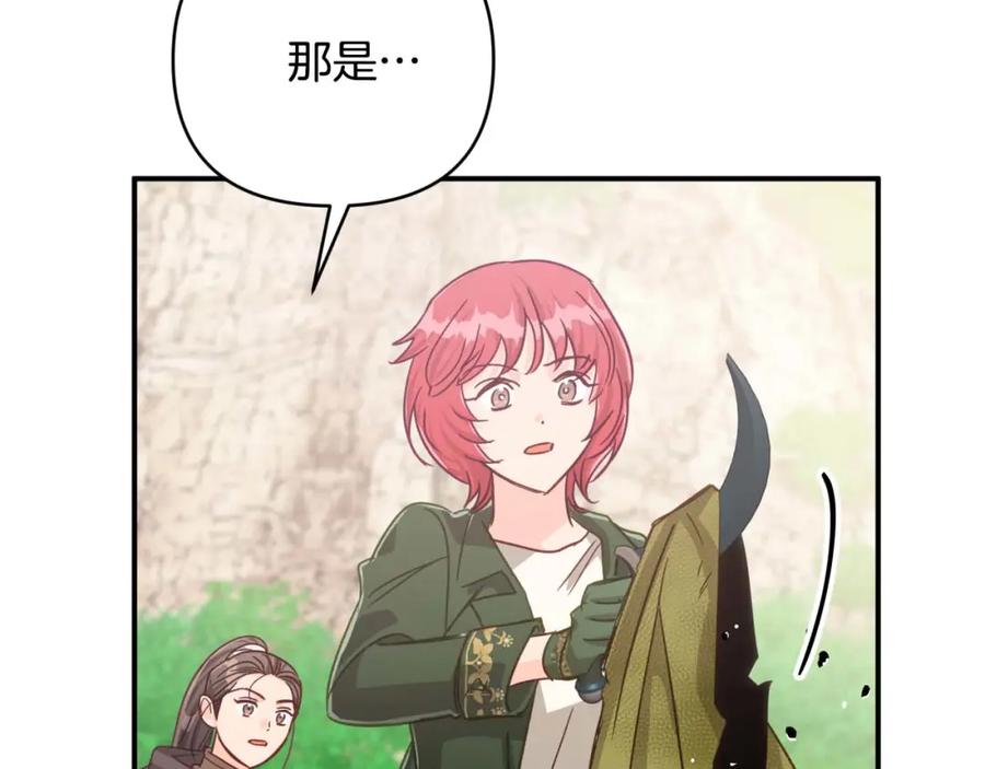 《钻石小姐历险记》第44话 使用毒物的敌人 第51页